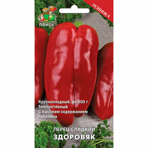 ���������� ������ ����� ������� 