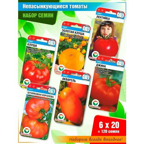 ���������� ����� ����� ��������������� ������� 