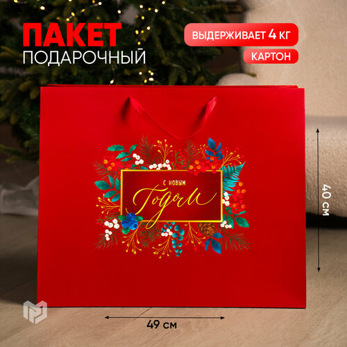 ���������� ����� ���������� ������ ������� ������� ���������� XL, 49x40x19 ��, �������