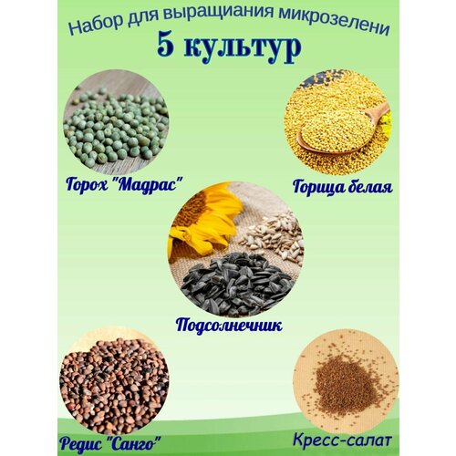 ���������� ����� ��� ����������� ����������� 