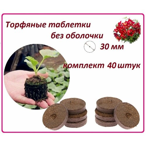 ���������� �������� �������� ��� ������� ��� ��������, 40 ����, d 30 ��, ����� ��� ������������ ����� ����� ������, ������ � ��������