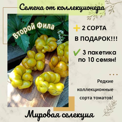 ���������� ����� ������ ����, ������� �� ��������� �����, �������� ������� �������, �������, ������������� ����