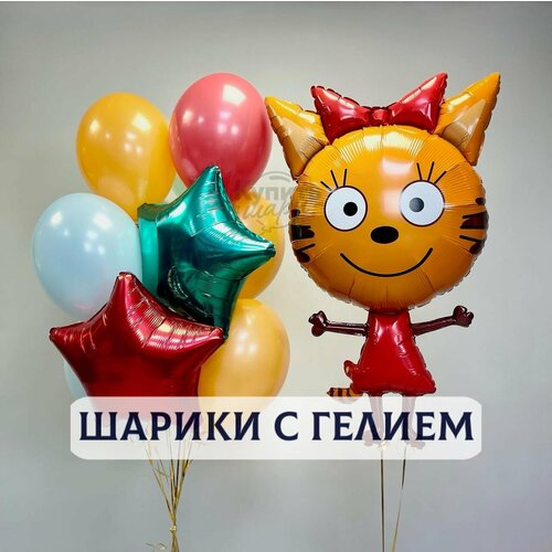 ���������� ��������� ���� � ������, ������ ��������� 