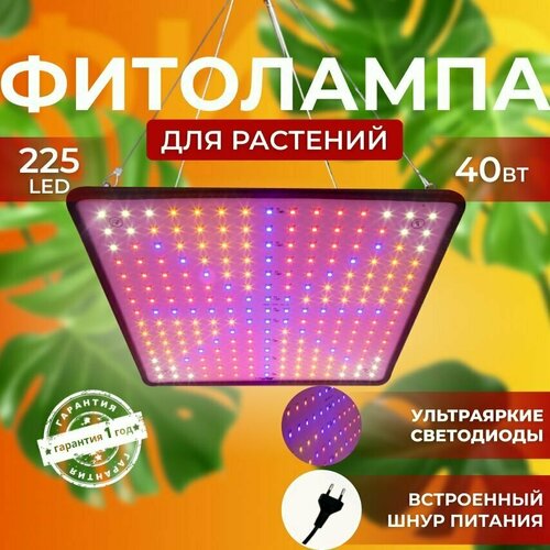          Quantum board     225 LED   , -, 