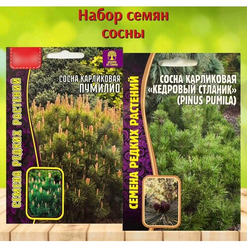 ���������� ����� ������ ������� �������� ����� ���������� �������� ������� � �������. ����� 2 ��.