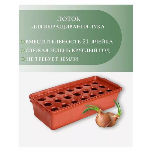 ���������� ����� ��� ����������� ����