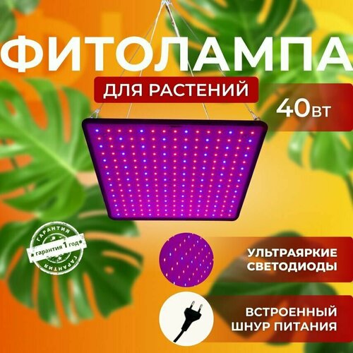          Quantum board     225 LED 40    , -, 