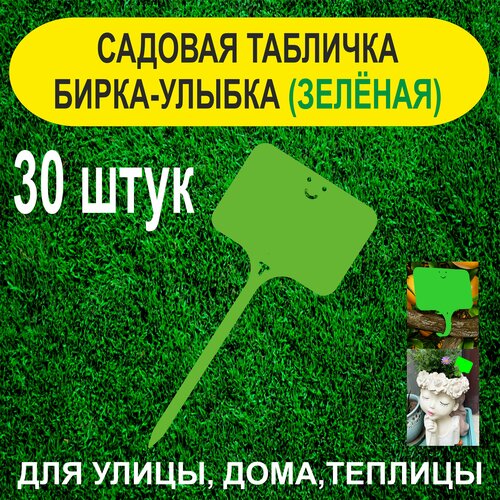 ���������� ������� ����� - ������. �������� ��� ��������. 30 ���� (������)