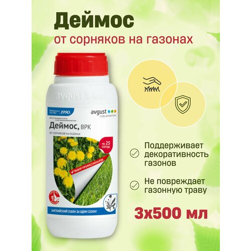 ���������� ������, ��� AVGUST �� �������� �� �������, �������� ����� �� �������� 500 �� ������, 3��