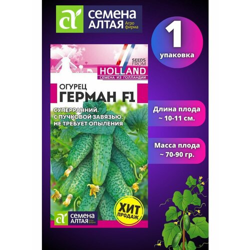 ���������� ������ ������ F1-1 ��, ������ �����, ����������� �����������