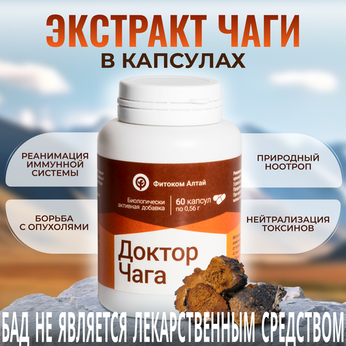 ���������� ������ ����, �������� ���� � ��������, ���, 60 ����, ������� �����