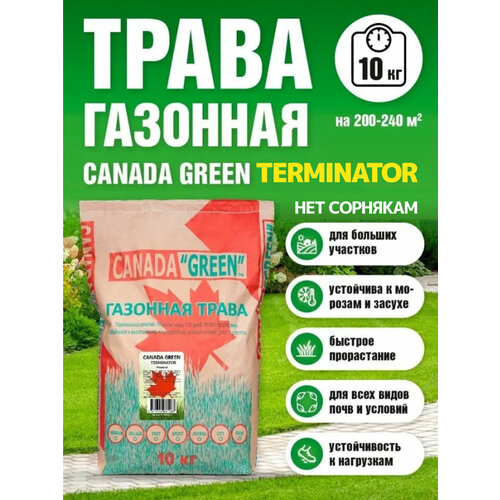 ���������� �������� ����� ������ ������ ���� ��� �������� 10�� / Canada Green Terminator 10��