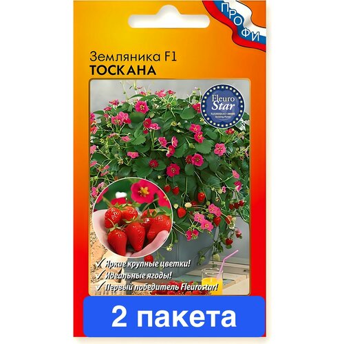 ���������� ������ ������ ������� ������ 