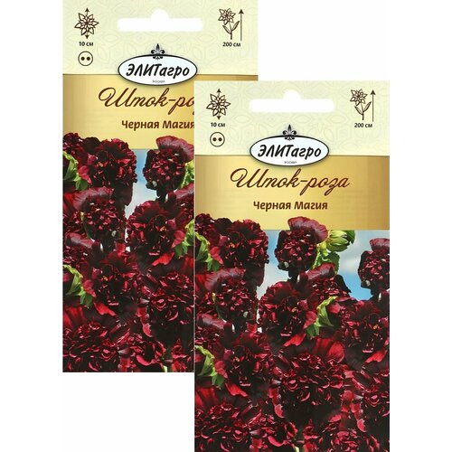 ���������� ����-���� ������ ����� (0,1 ��), 2 ������