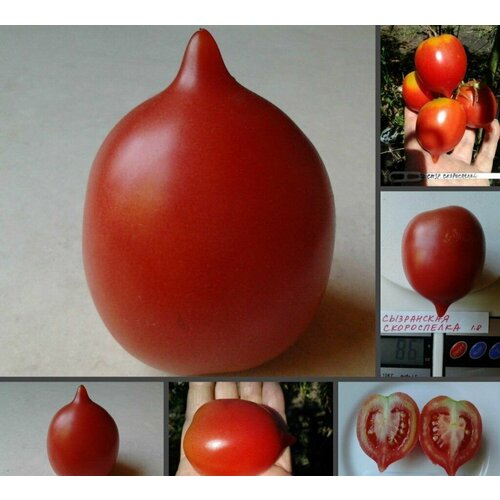 ���������� ������������� ������ ������ ���������� �����������