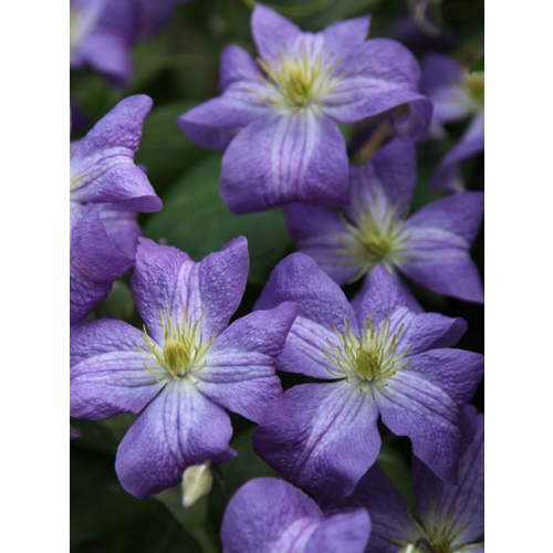 ���������� �������� ������ (�9)