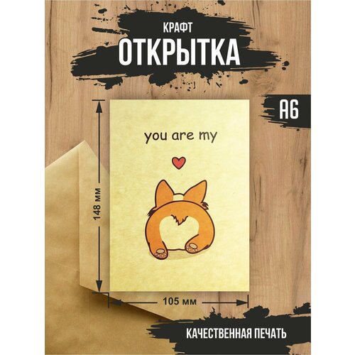 ���������� ����� �������� 