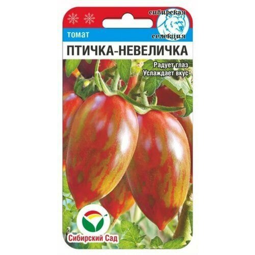 ���������� ������ ����� ������-��������� 20�� ����� (��������� ���)