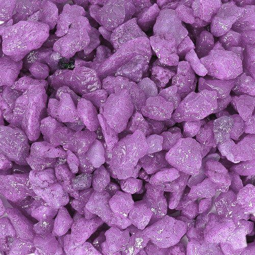 ���������� ����������� ����� ��� ��������, ����������� � ��������, Zoo One, ��������� ��������, 