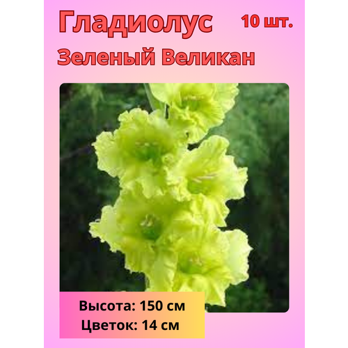 ���������� ��������� ��������������� ������� �������, �������� ����������