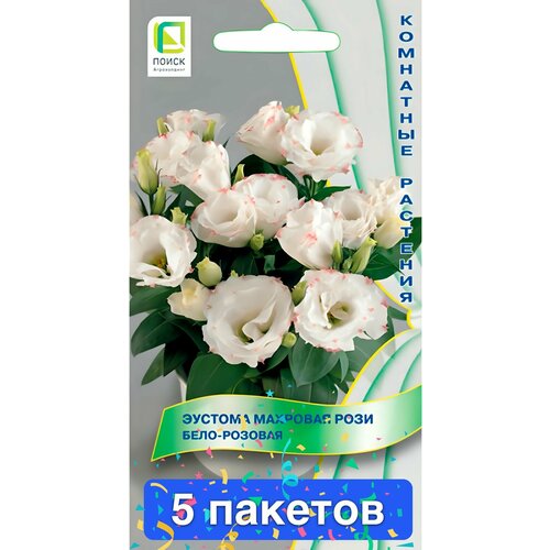 ���������� ����� ������� �������� ���� ����-������� 5 �������