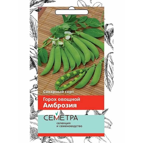 ���������� ������ ������ ����� �������� 10 �