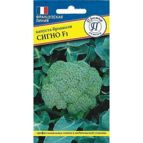 ���������� ������ ������� �������� ����� F1 10�� ������ (�������)