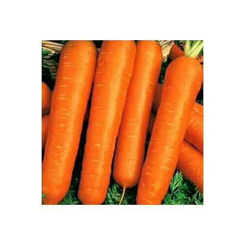 ���������� ������ ������� �������, �������, ����, 300��, ������