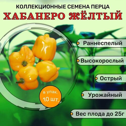 ���������� ������������� ������ ����� ������� �������� �����