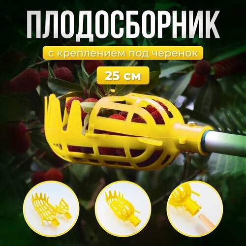 ���������� ������������ ��� �������: �����, ����, �����, �����, ���������. ������������ ����������� 25�� (�����)