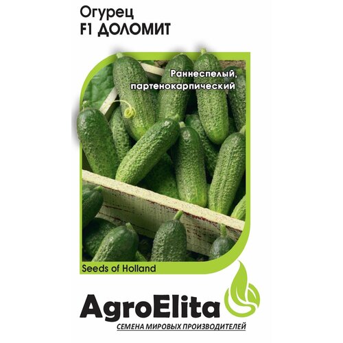 ���������� ������ ������ ������� F1, 5��, AgroElita, Nunhems