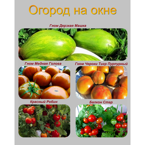 ���������� ����� ������������� ����� ��� ��������� �������