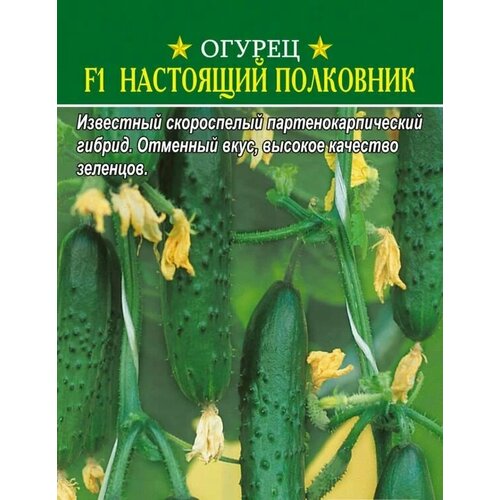 ���������� ������������� ������ ������ F1 ��������� ���������