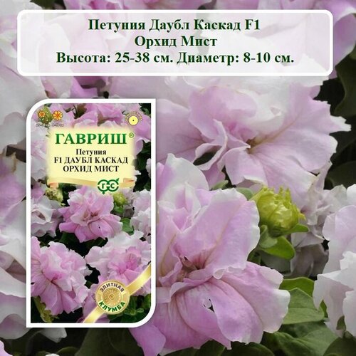 ���������� ������ ������ ������� ����� ������ F1 ����� ���� (5 ��. �����)