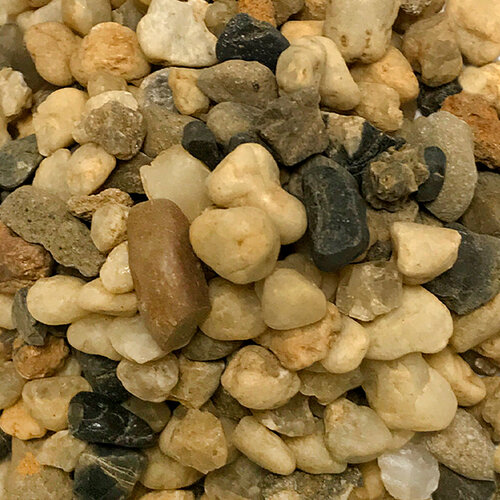 ���������� ����������� ����� ��� ��������, ����������� � ��������, Zoo One, ��������� ��������, 