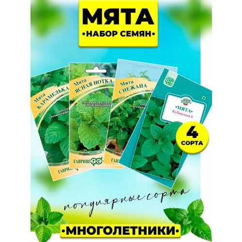 ���������� ����� ����� ���� 4 �����