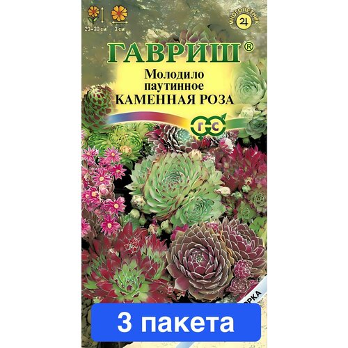 ���������� ������ ������ ������ 