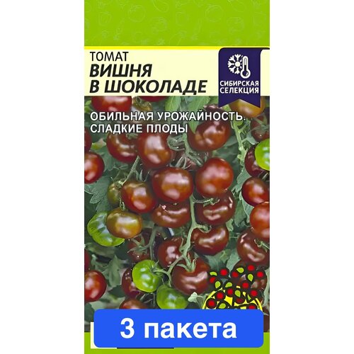 ���������� ������ ������ ������ ����� 