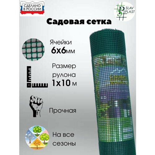 ���������� ����� ������� ����������� �����-������� ������ 6�6�� ����� 1�10� ����-�������