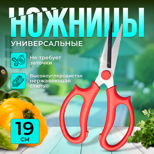 ���������� ������� ������������� ������� NM HOME, ��� �������� ������ � ��������