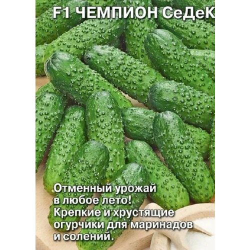 ���������� ������������� ������ ������ F1 ������� �����