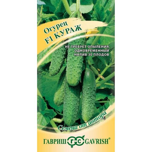 ���������� ������ ������ ����� F1 10�� ������������������ ������ (������) �����