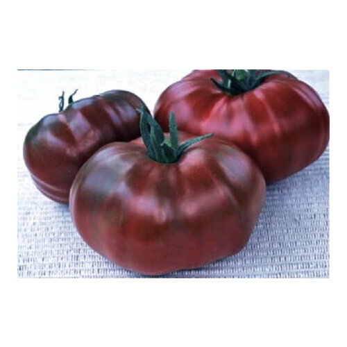 ���������� ������������� ������ ������ ������� ���������� � ׸���� ��������