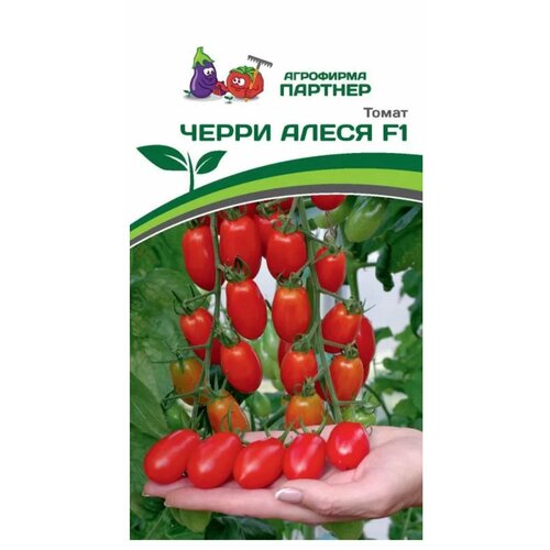 ���������� ������ ������ ���������������� ������������ ����������������� 