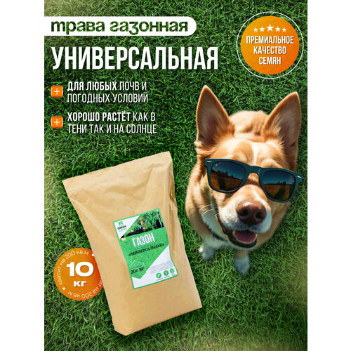 ���������� �������� �����, ������, ������������� ����������, 10 ��