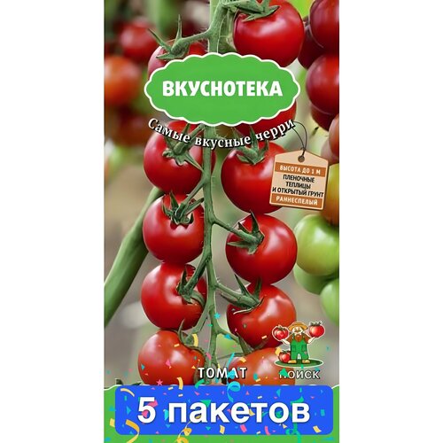 ���������� ������ ������ ����� 