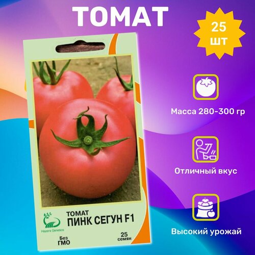 ���������� ������ ������ ���� ����� F1 25��. ���������� ��������