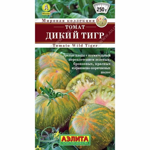 ���������� ������ ����� ����� ���� , ������������, (������) 20�� ������� ���������