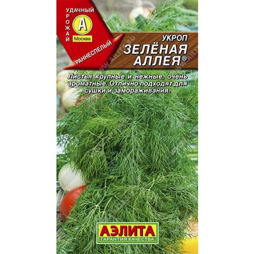 ���������� ������ ����� ������� ����� 3� ������ (������)