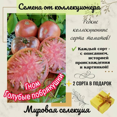 ���������� ���� ������� ����������, ����� 